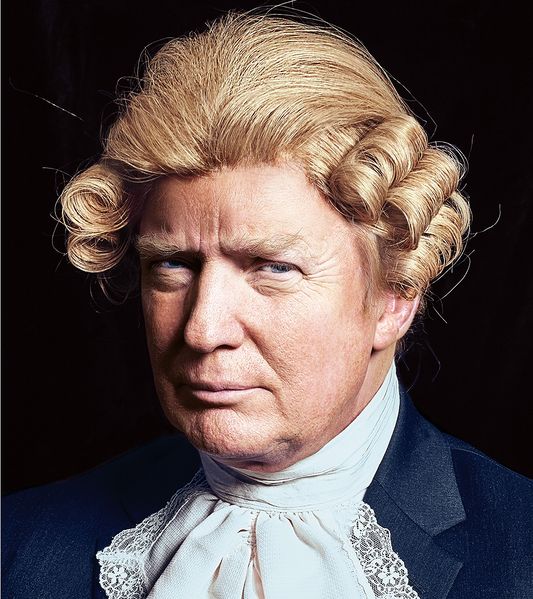Soubor:Trump vlasy.jpg