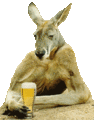 Australské pivo pijí pouze místní klokani