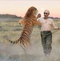 Putin ukazuje sibiřskému tygru velikost svého přirození