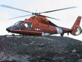 Mladá helikoptéra číhá na zemi na okololetící samce