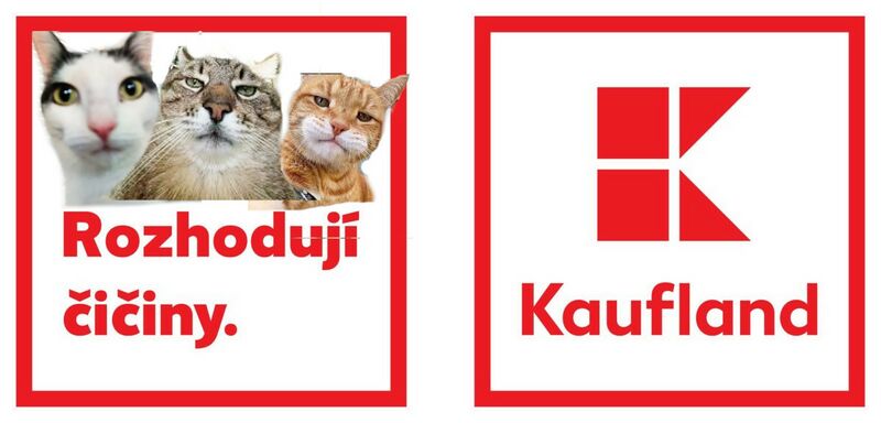 Soubor:Rozhodujiciciny.jpg