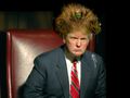 Donald Trump a jeho vlasy.jpeg