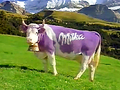 Kráva Milka – je ale možné, že je to opět zamaskovaná krav maga