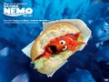 Eating Nemo