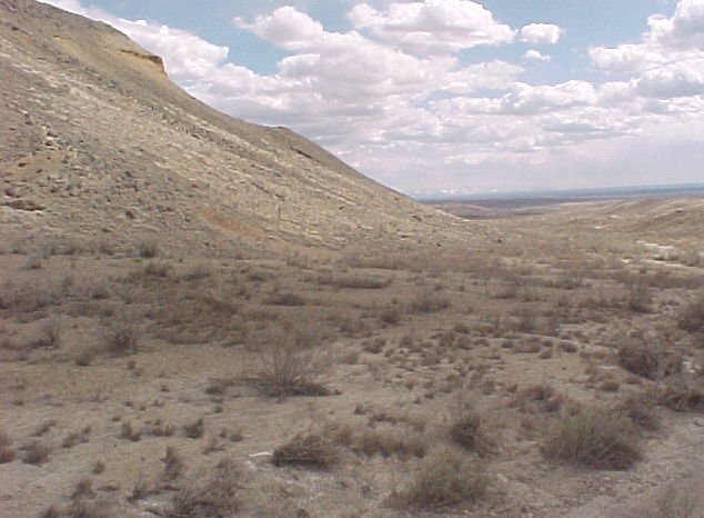 File:In The Desert.jpg