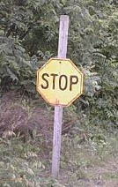 File:Yellow stop sign.jpg