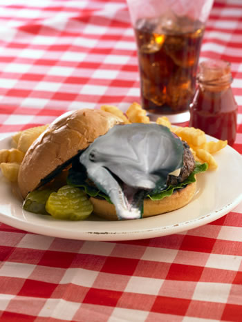 File:Dolphin burger.jpg