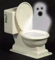 File:Haunted toilet.JPG