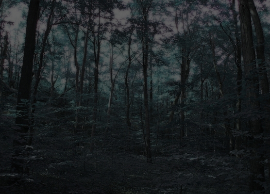File:Forest Dark.jpg