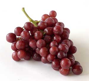 File:Grapes!.jpg