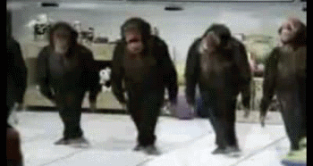 File:Dancing Chimps.gif