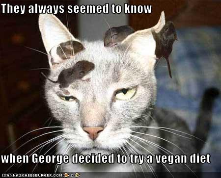 File:Funny-pictures-your-cat-is-vegan.jpg