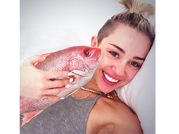 File:Mileyfish.jpeg
