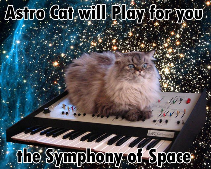 File:Astrocat.jpg