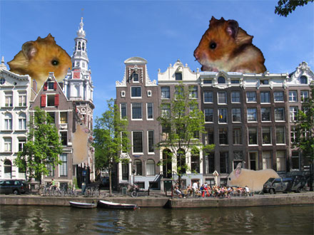 File:Hamsterdam.jpg