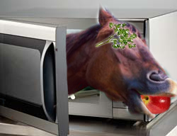 File:Microwaved horse.jpg