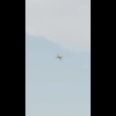 File:Flying car crash.gif
