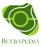 File:Bulbapedia logo.png