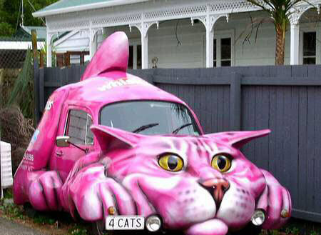 File:Cat car.jpg