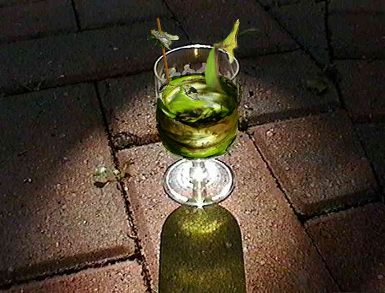 File:Froggy drink.jpg
