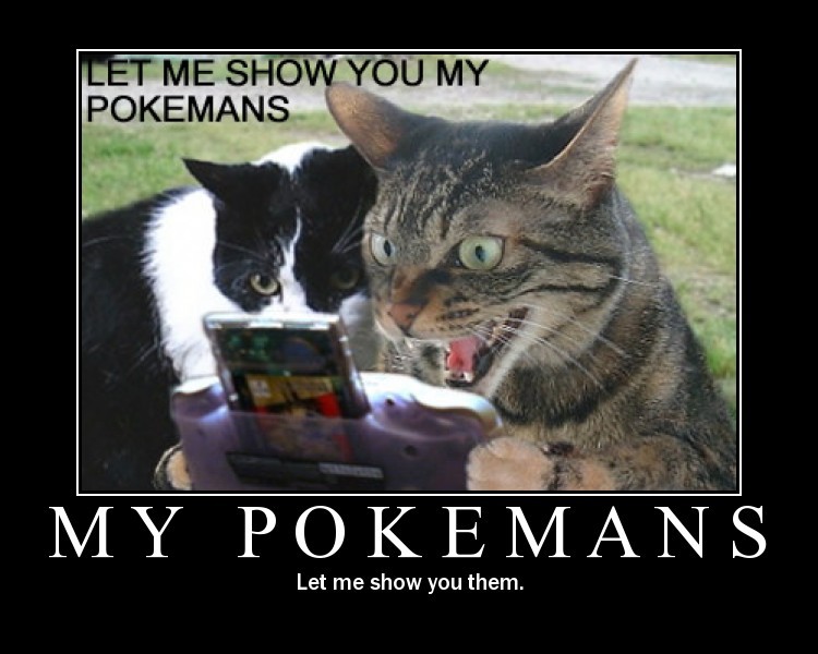 File:Cat Pokemon.jpg