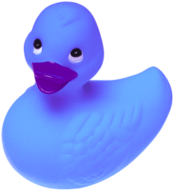 File:Mr rubber ducky.gif