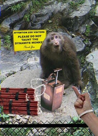File:Dynamite monkey.jpg