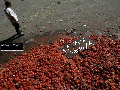 File:Rotten-tomatoes.jpg