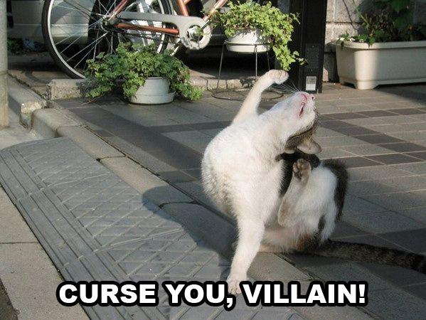 File:Cat curse.jpg