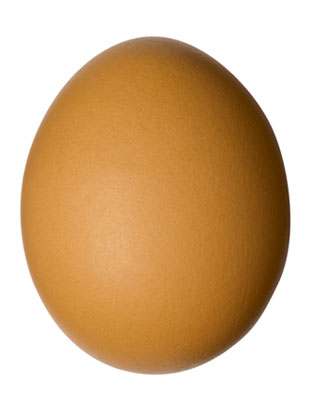 File:Egg-brown.jpg