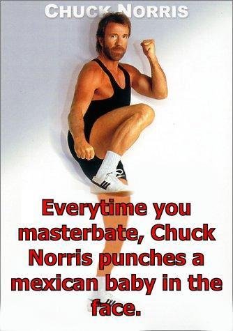 File:Chucknorris punchmexicanbaby.jpg