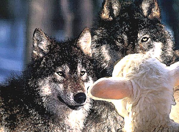 File:Two-wolves-and-a-sheep.jpg
