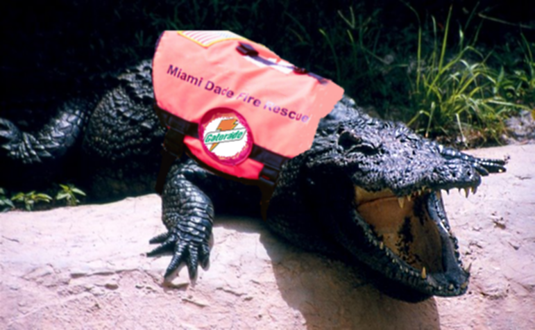 File:Gator aide fire rescue!.png