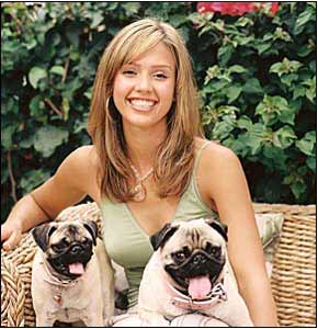 File:07- Jessica with two cute Pugs.jpg