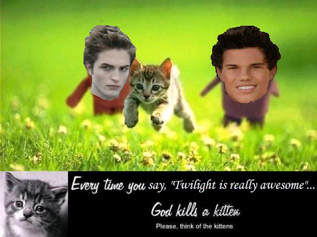 File:God-kills-twiligt-kitten.jpg
