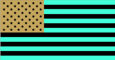 File:Usa-flag.gif