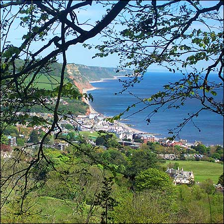 File:Sidmouth from peak hill.jpg