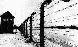 File:AuschwitzBirkenauConcentrationCamp.jpg