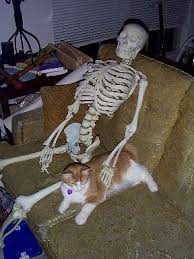 A fluent keyboard smash