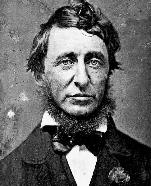 File:486px-Henry David Thoreau.jpg