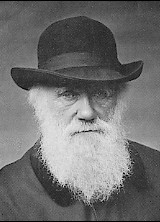File:Charles Darwin 1880.jpg