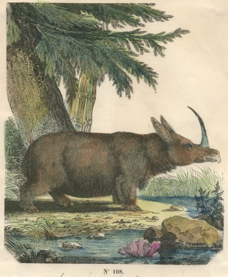 File:Prehistoric-single-horned-wooly-rhino.jpg