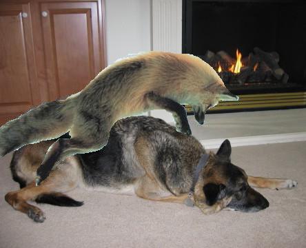 The quick brown fox humps over the lazy dog.jpg