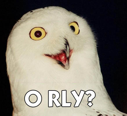 File:Orly owl.jpg