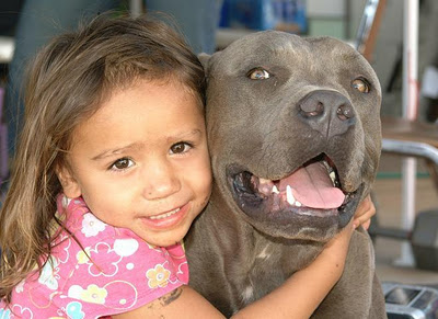 File:Young girl and her pitbull.jpg