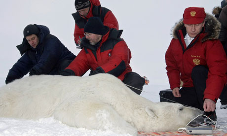 File:Putin polar bear.jpg