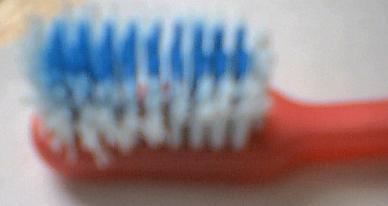 File:Worn Out Toothbrush.jpg