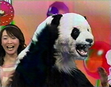 File:Panda suit.jpg