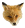 File:Foxicon.png