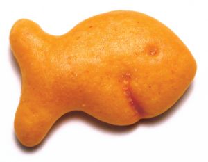 Goldfish cracker.jpg